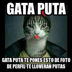 Gata de Puta .
